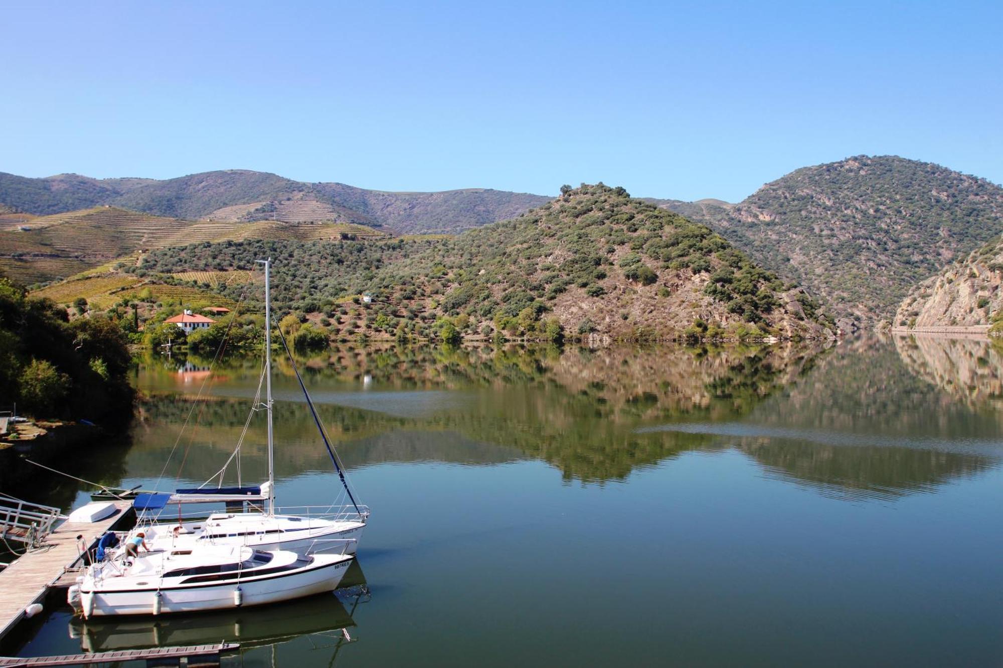 Douro Yacht Charter & Bungalows São João da Pesqueira 객실 사진