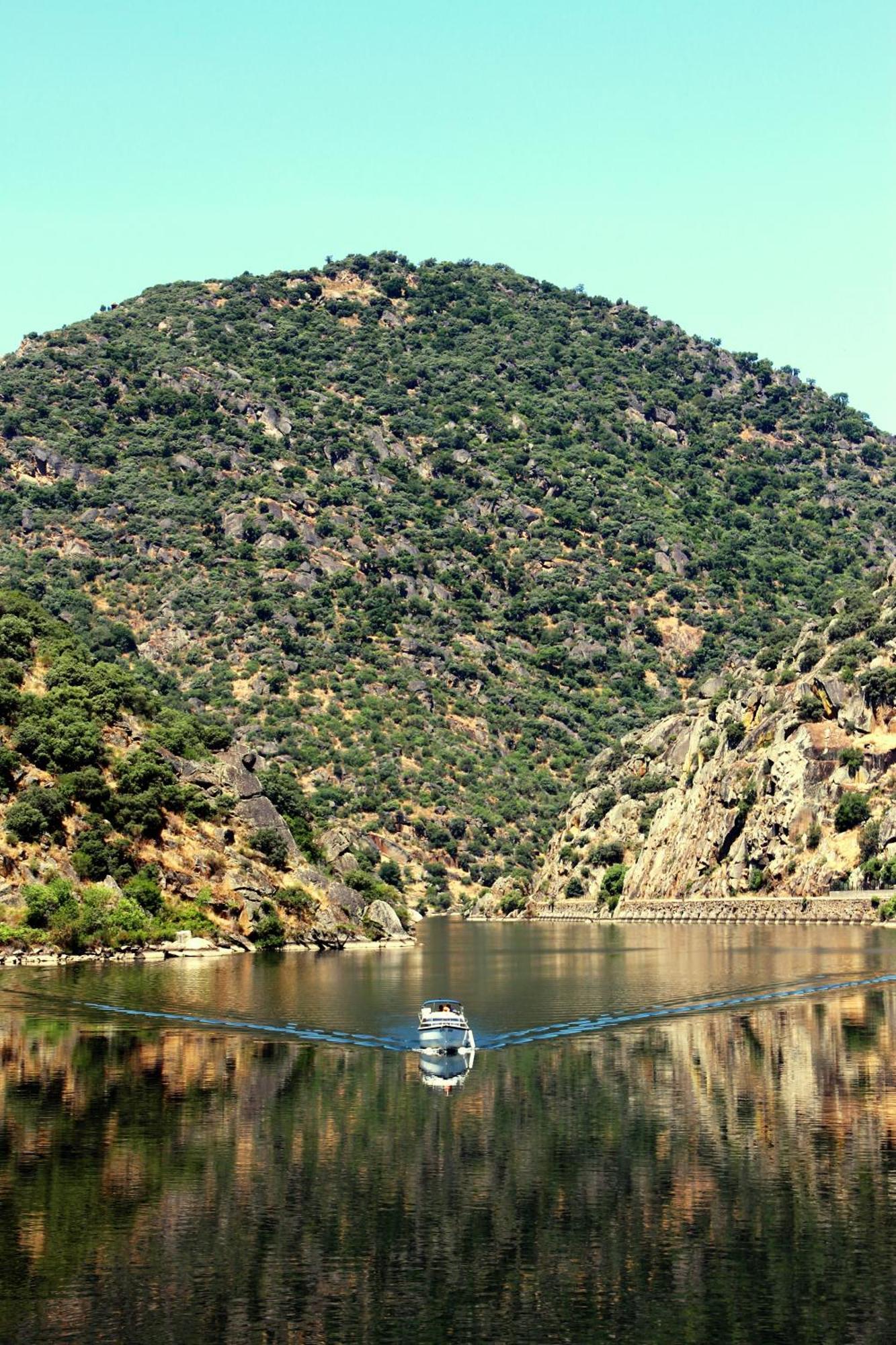 Douro Yacht Charter & Bungalows São João da Pesqueira 객실 사진