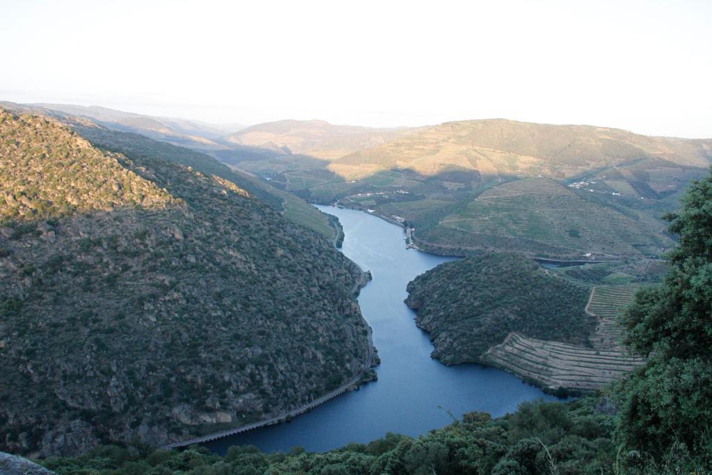 Douro Yacht Charter & Bungalows São João da Pesqueira 외부 사진