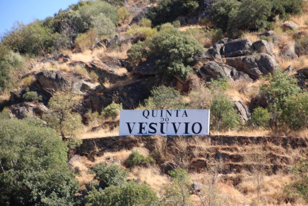 Douro Yacht Charter & Bungalows São João da Pesqueira 외부 사진