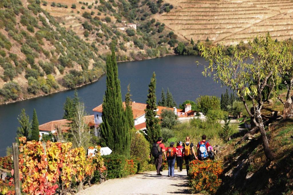 Douro Yacht Charter & Bungalows São João da Pesqueira 외부 사진